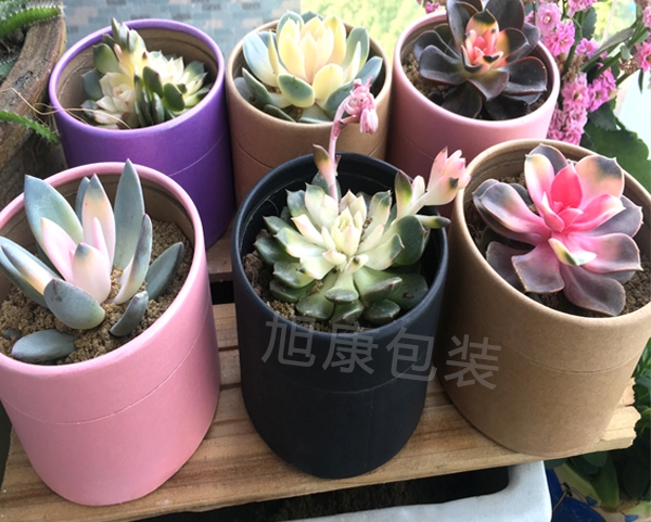 防水環保紙筒